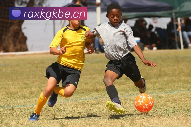 米兰网页版登录入口平台生态图